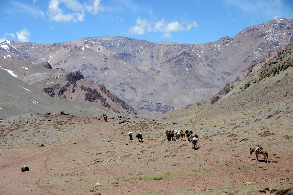 21 The Muleteers Lead Their Mules Back Down The Relinchos Valley Toward Casa de Piedra